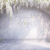 wisteria-arch-25
