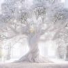 white-room-12