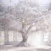 white-room-13