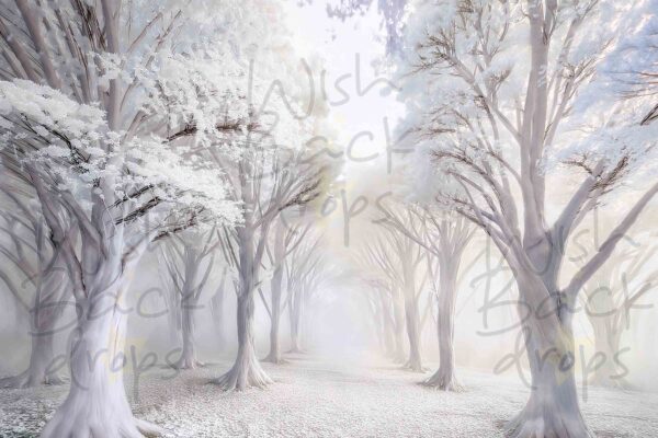 white-room-23