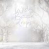 white-room-24