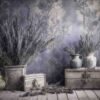 lavender-5