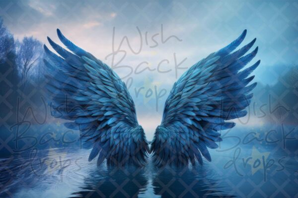 blue-wings-8