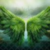 green-wings-12
