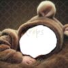 brown-bunny-8