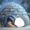 faceon-winter-2