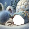 faceon-winter-3