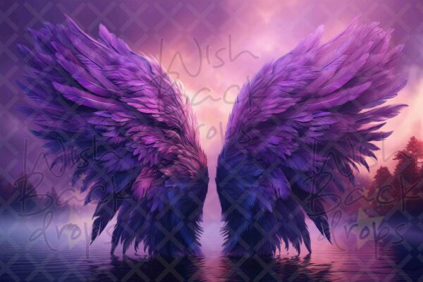 violet-wings-10