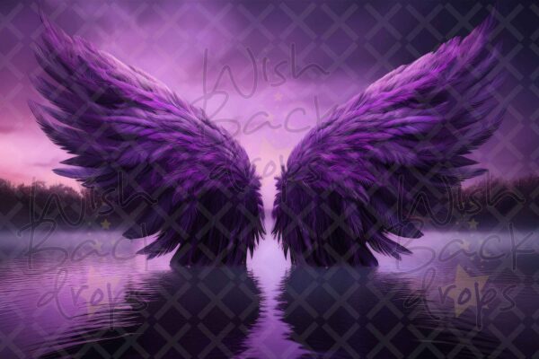 violet-wings-2