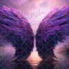 violet-wings-8